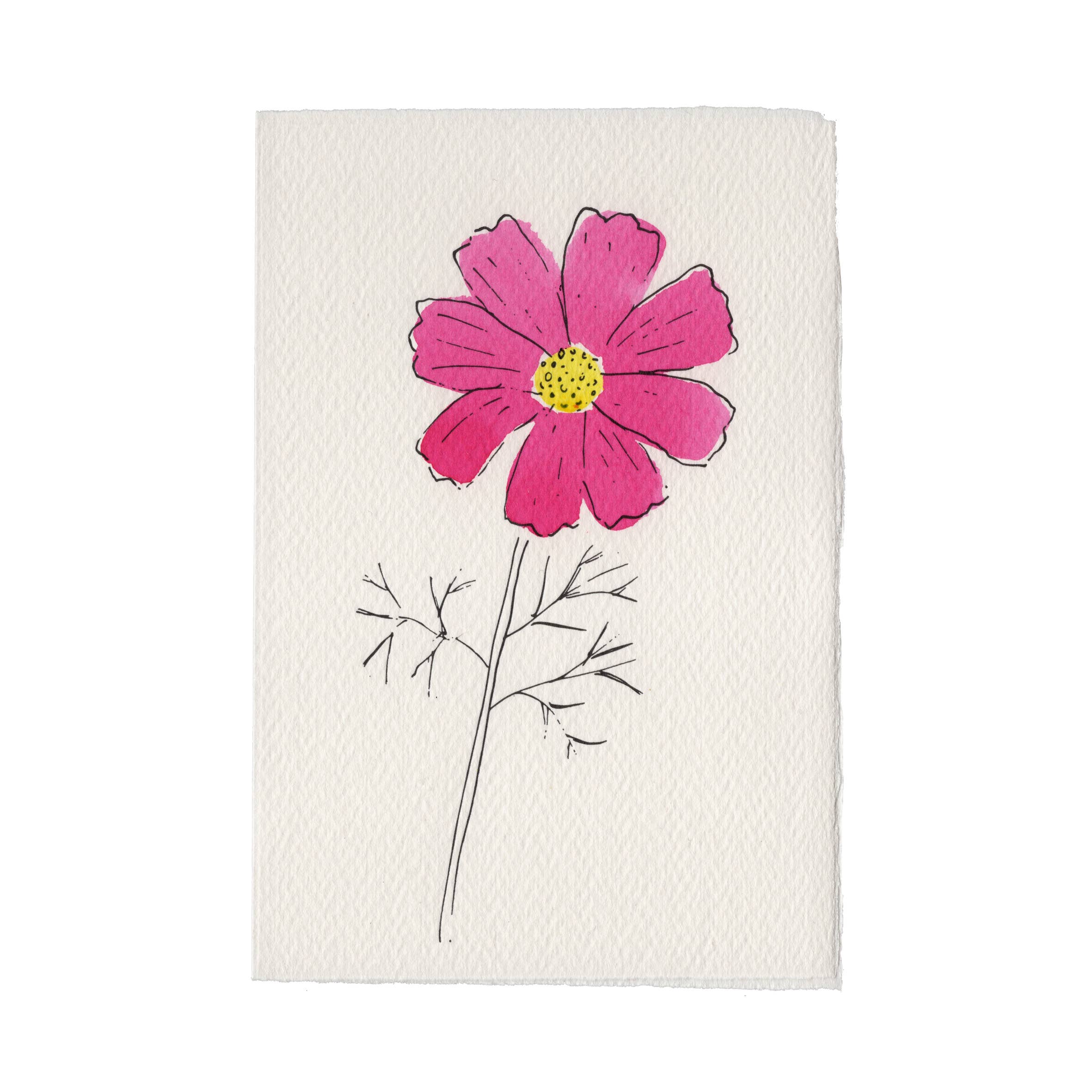 Cosmos Card