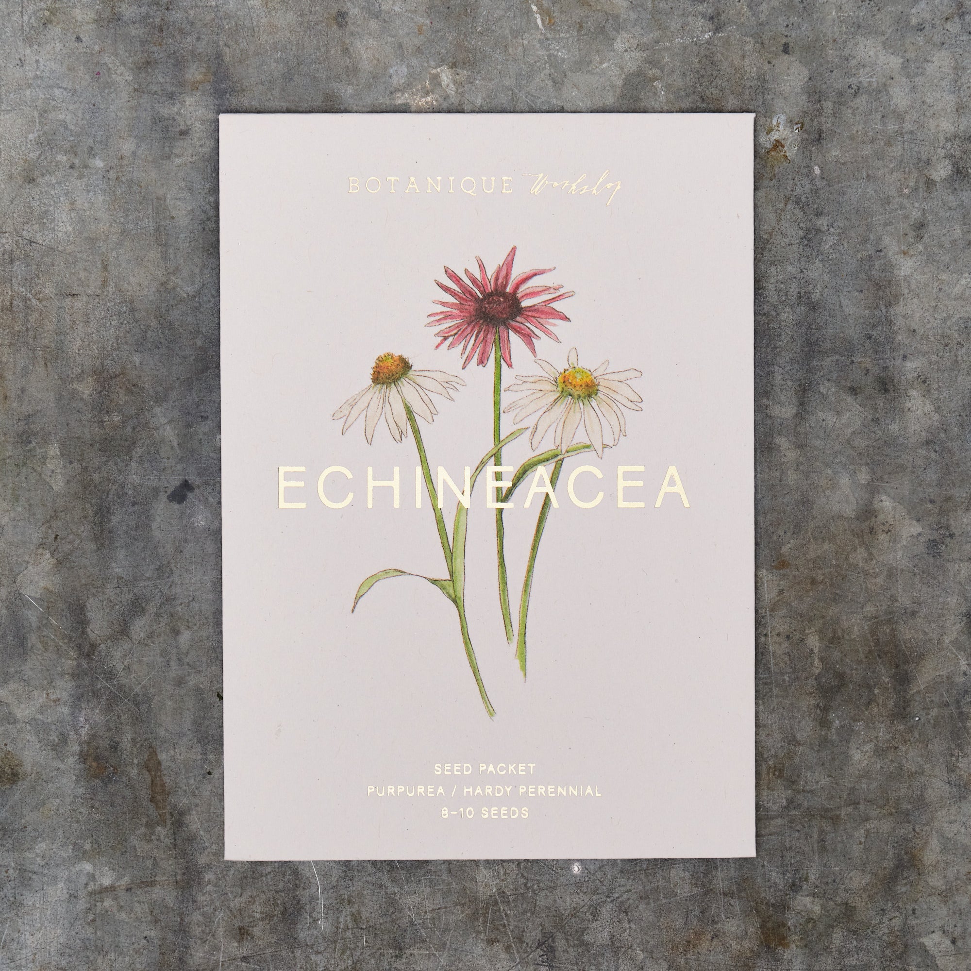 Echinacea Purpurea Seed Packet