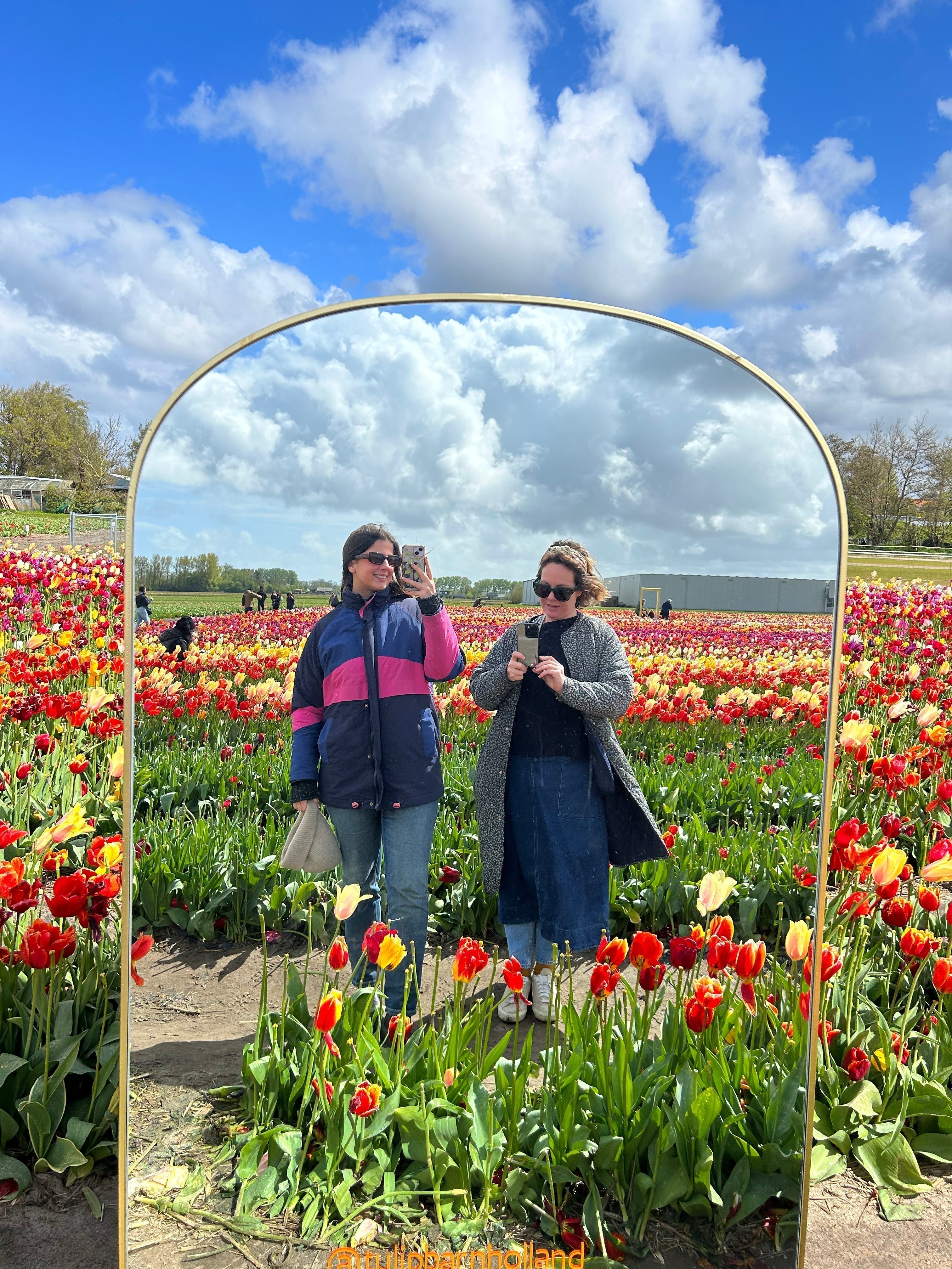 Fields of wonder: our trip to the tulip farms of Holland