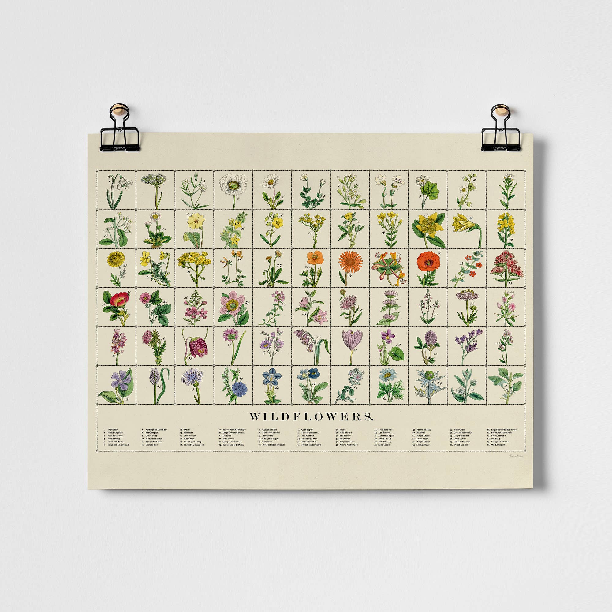 Wildflowers Fine Art Print | A3