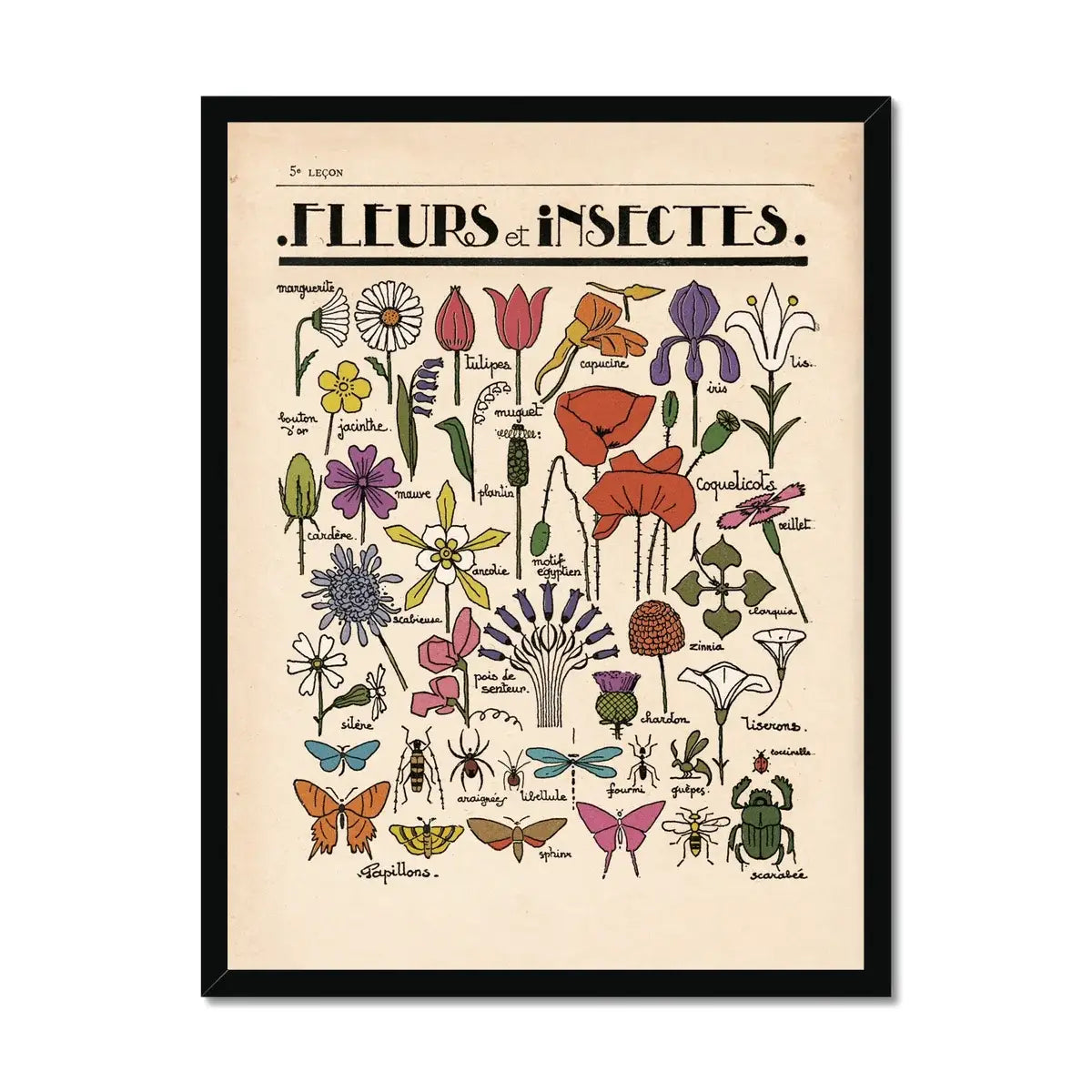 Fleurs et Insectes Fine Art Print | A3