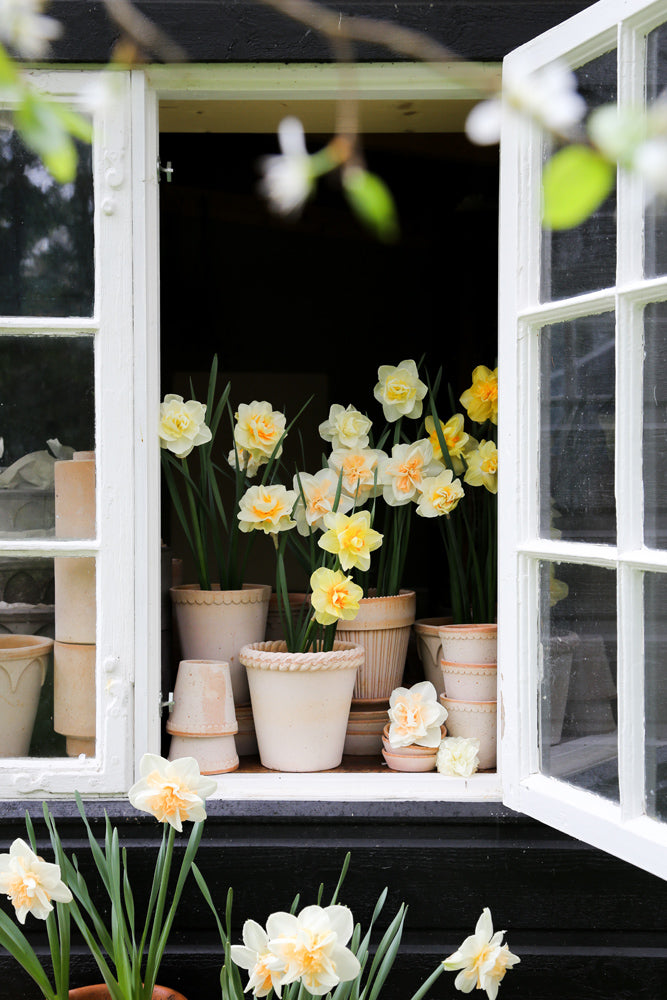 Bergs Potter Terracotta Emilia Pots 30cm