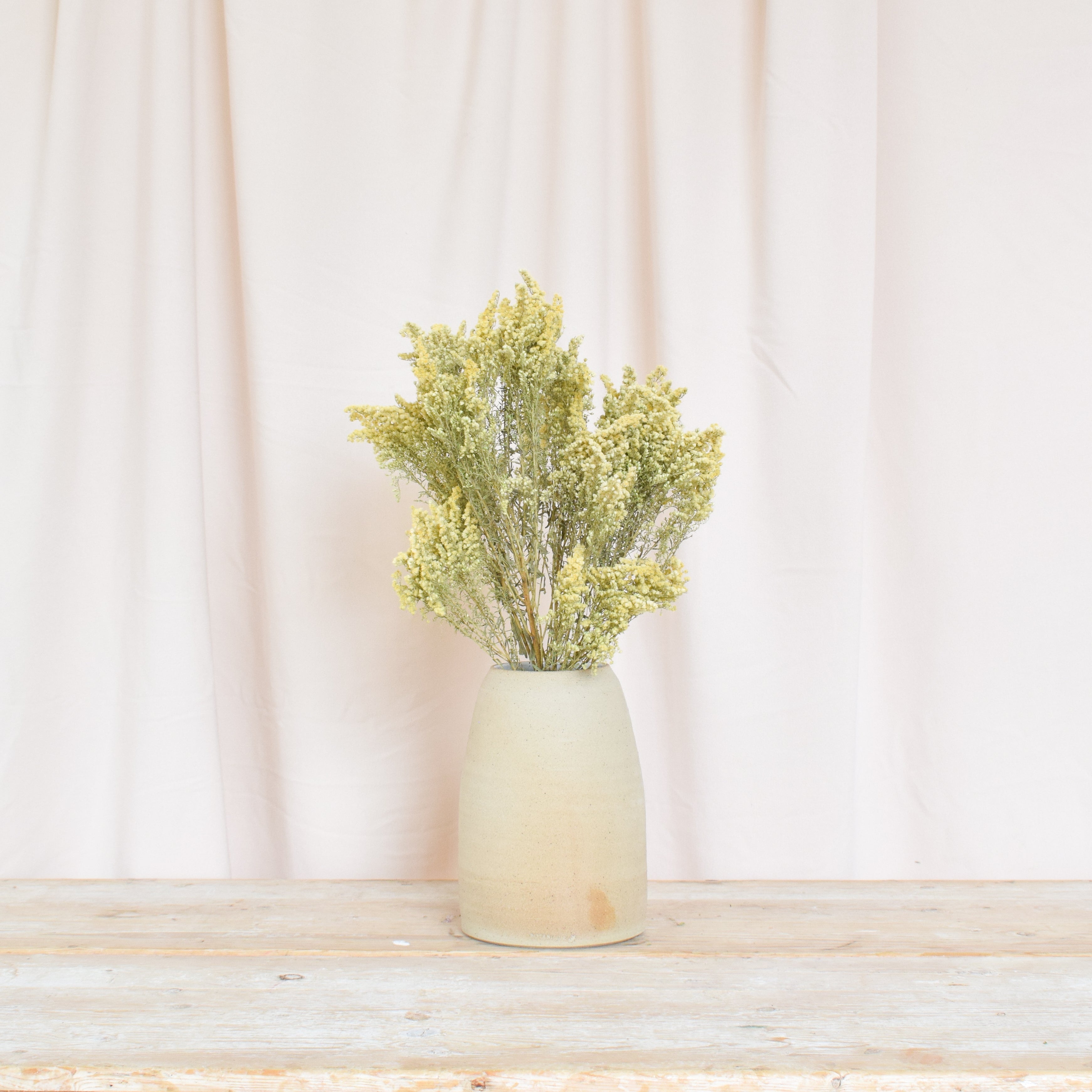 Bunch of Dried Solidago