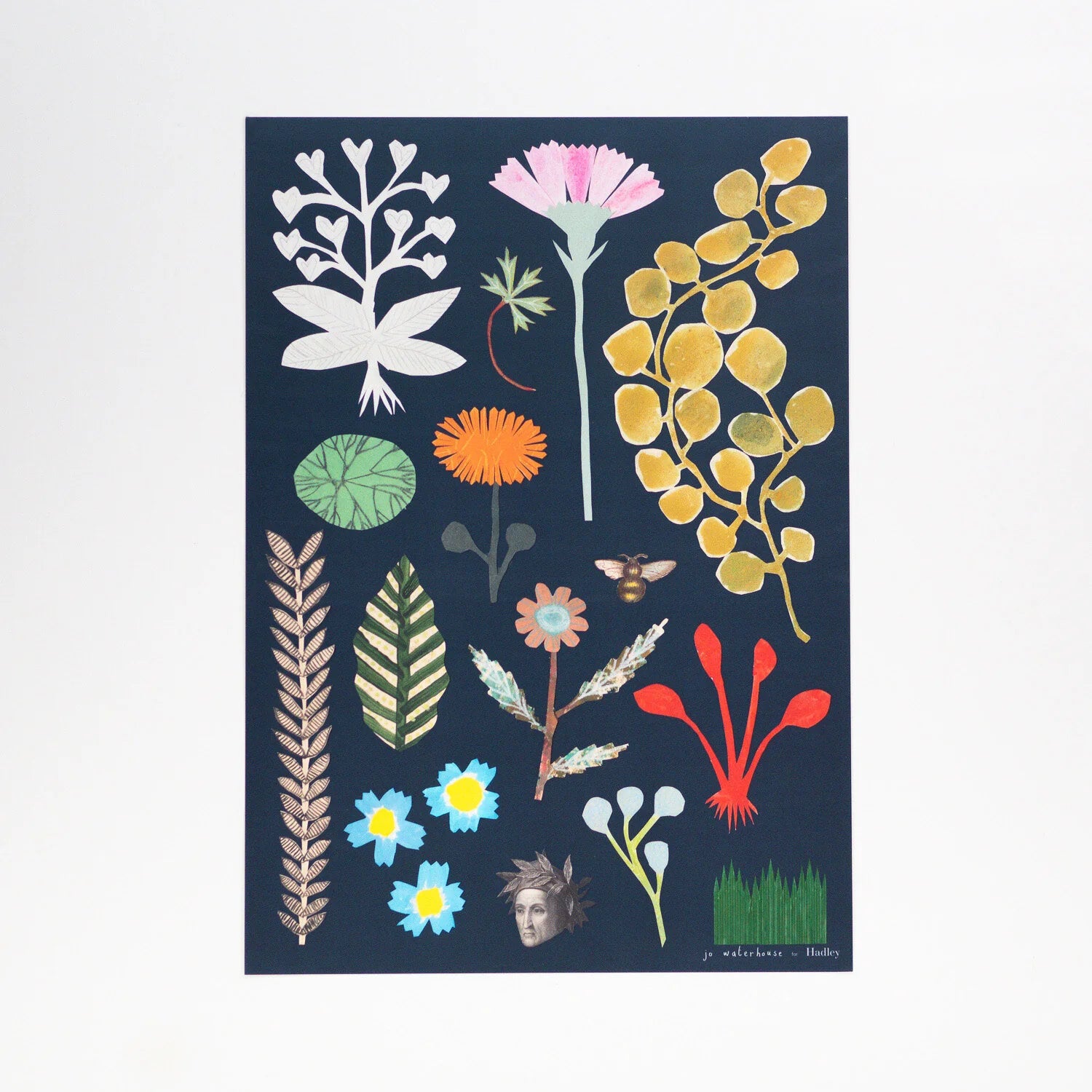 Botanical Art Print