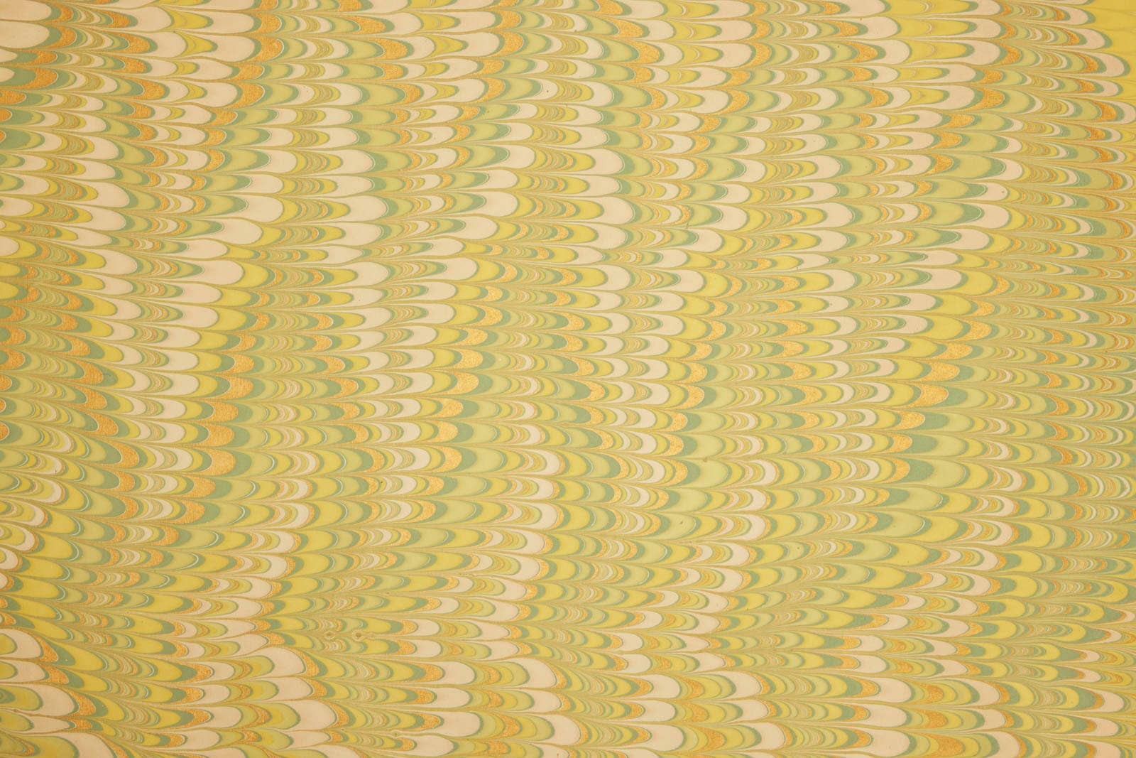 Hand Marbled Wrapping Paper Sheets - Scallops Daffodil