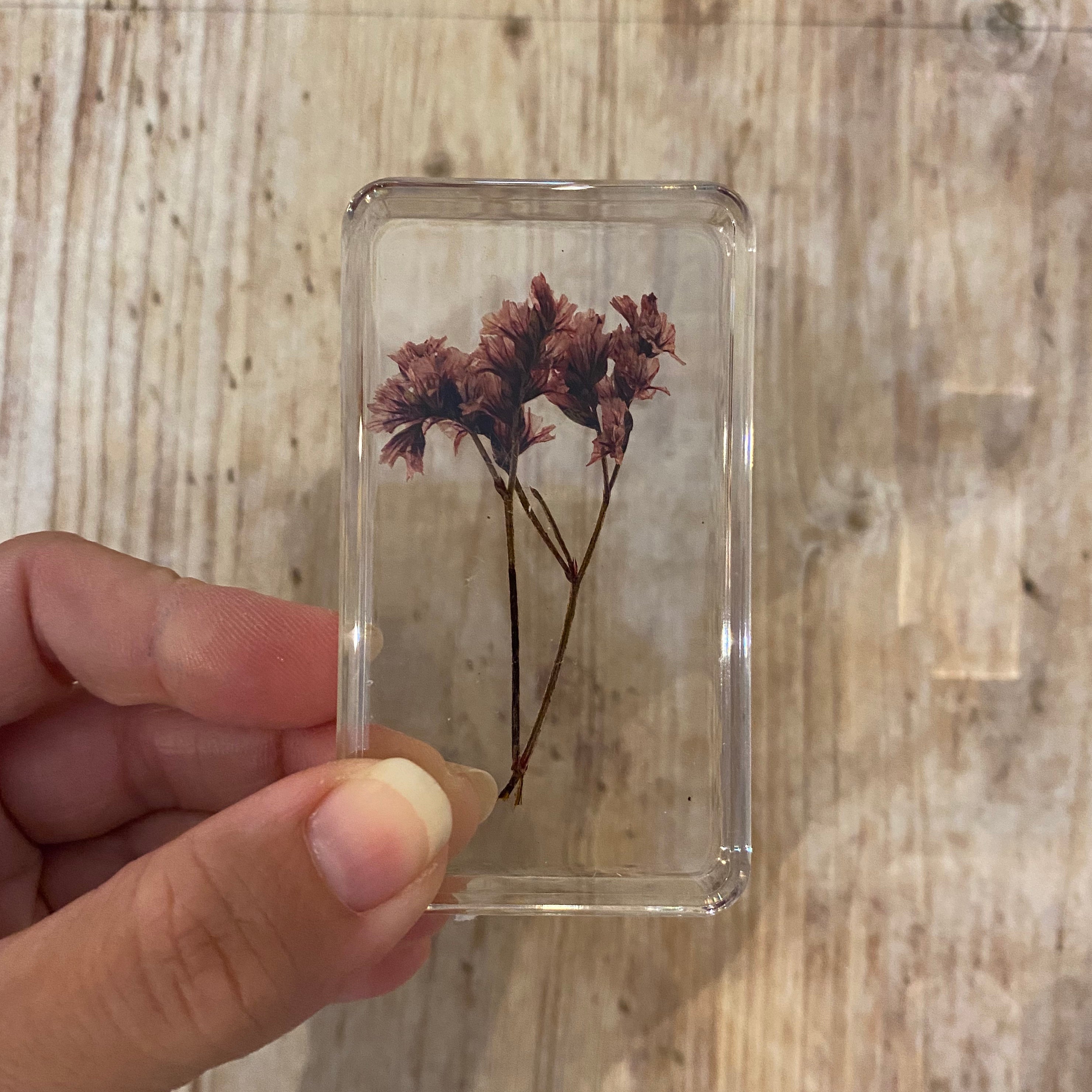 Real Pressed Flowers in Resin | Large